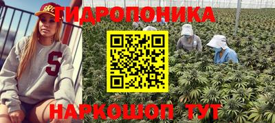 PSILOCYBIN Рязань