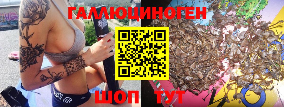 Орск  где можно купить наркотик  Вход с VPN  Галлюциногенные грибы ЛСД 