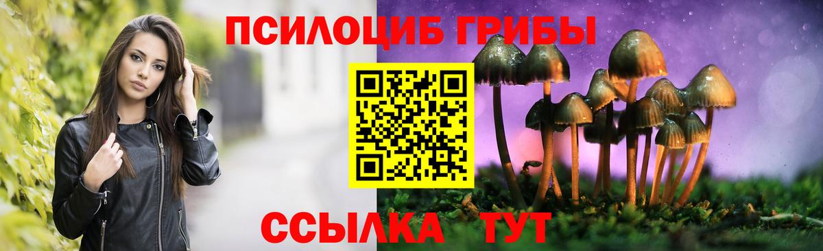 Псилоцибиновые грибы GOLDEN TEACHER Орск